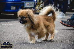 DSC_6740